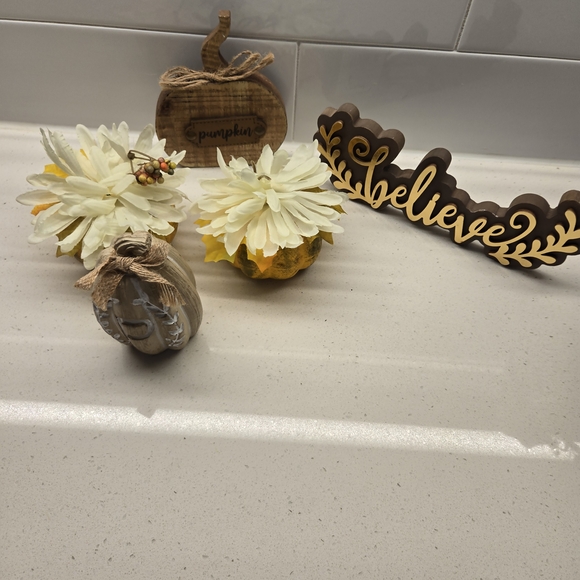 Other - Decorative Fall Pumpkins